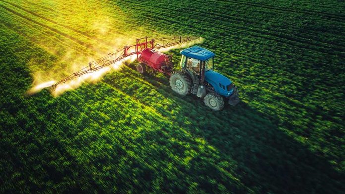 A blue tractor rolls across a large crop of plants spraying chemicals in sunset light.
